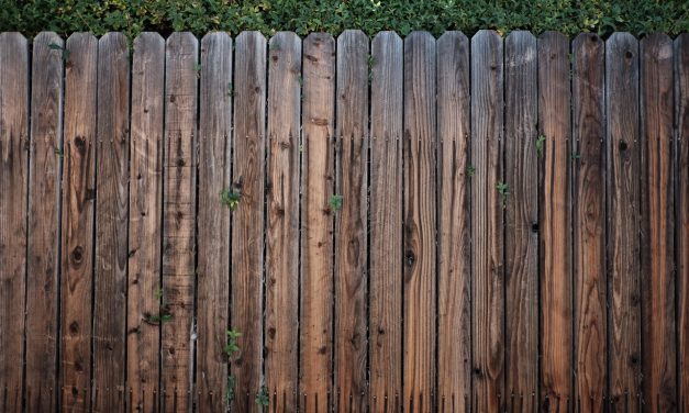 Ogrodzenie drewniane – zalety