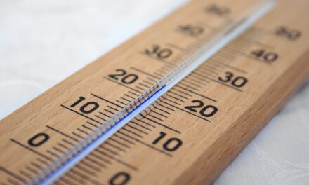 Dlaczego warto postawić na bezprzewodowe regulatory temperatury?